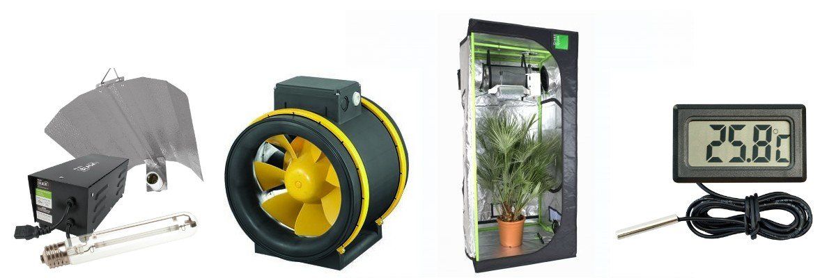 To keep a constant temperature within a grow tent is is important to have a quality fan and a temperature gauge to control the heat from the lighting and ballast